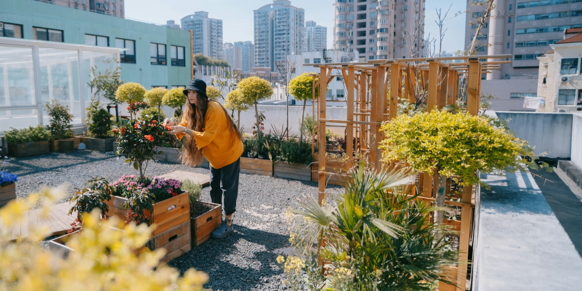 Exploring the Appeal of Dallas Gardens A Look into Nature’s Role in Urban Spaces