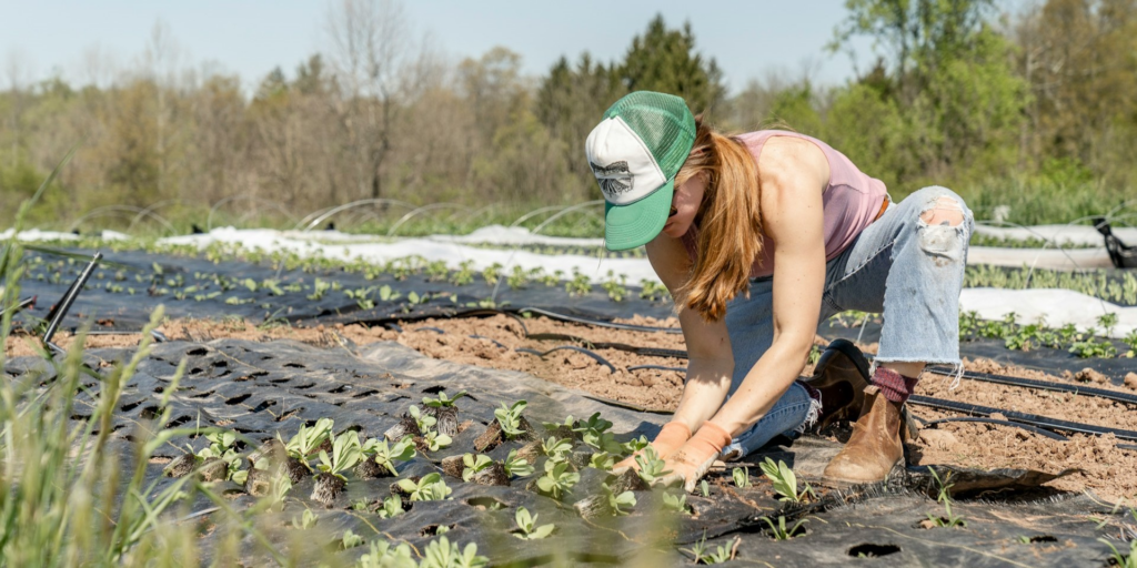 Extreme Weather Reshaping Southern Agriculture