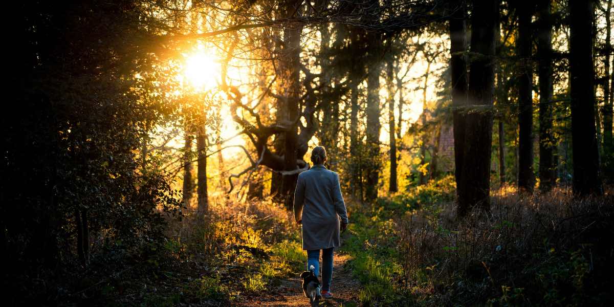 Mental Wellness: The Benefits of Sunrise and Sunset Walks