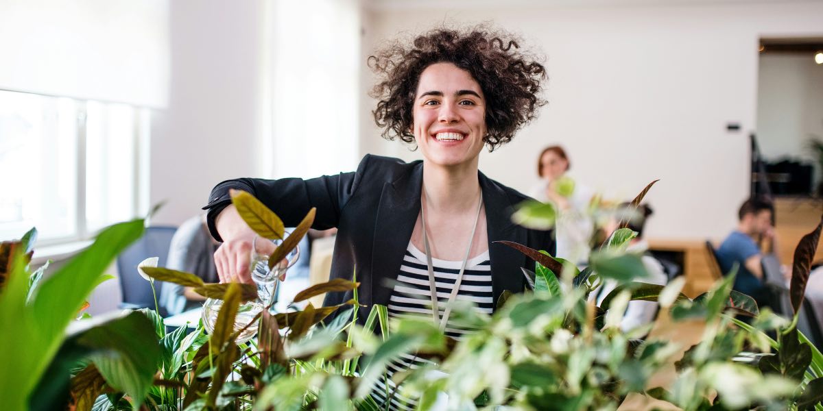 The Science Behind Biophilic Office Spaces