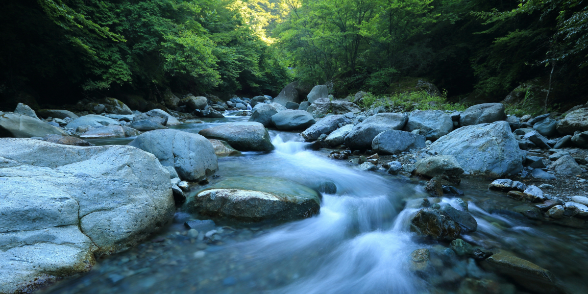 Floating the Guadalupe and Frio Rivers A Summer Adventure in Texas