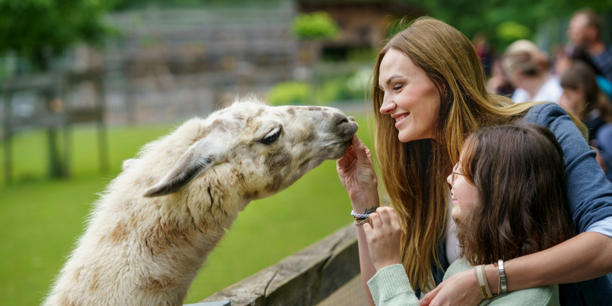 The Importance of Adhering to Petting Zoo Rules