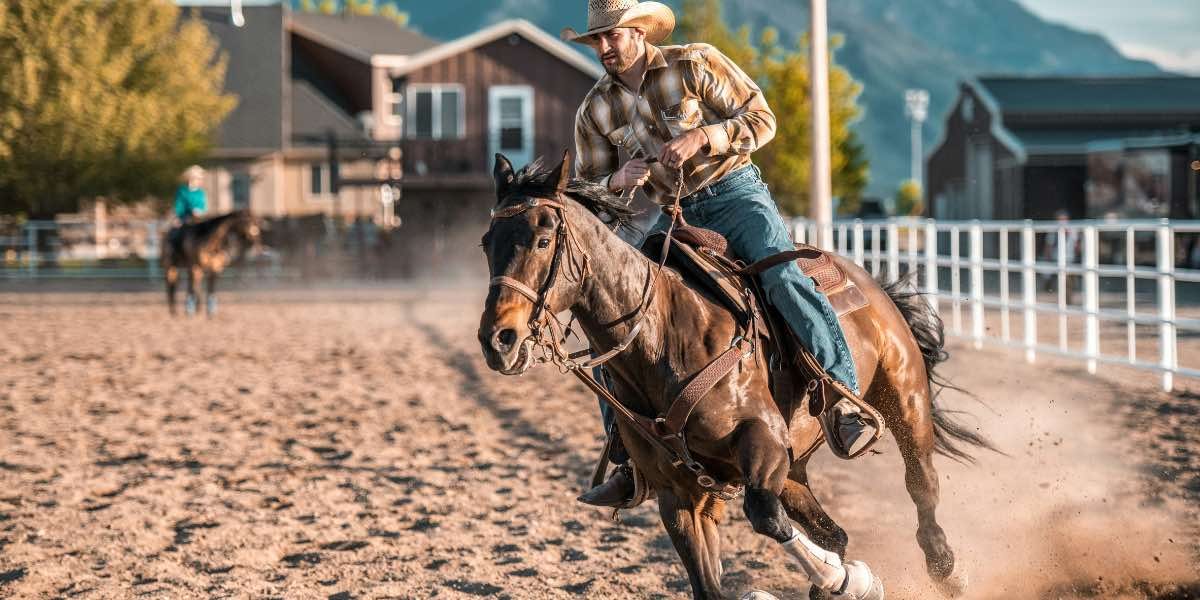 The Role of Rodeos in Dallas’ Modern Identity